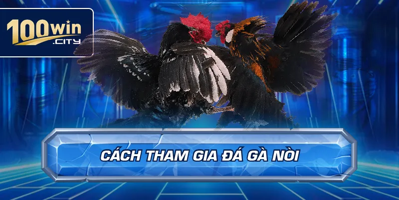 Cách tham gia đá gà nòi