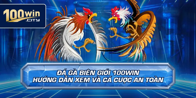 Đá Gà Biên Giới 100win – Hướng Dẫn Xem Và Cá Cược An Toàn