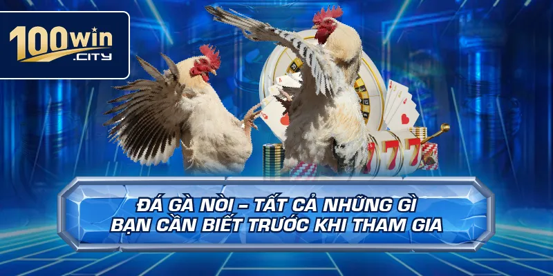 Đá Gà Nòi – Tất Cả Những Gì Bạn Cần Biết Trước Khi Tham Gia
