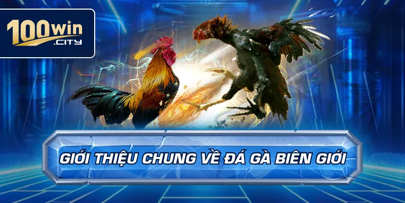 Giới thiệu chung về đá gà biên giới