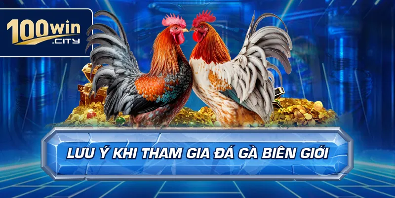 Lưu ý khi tham gia đá gà biên giới