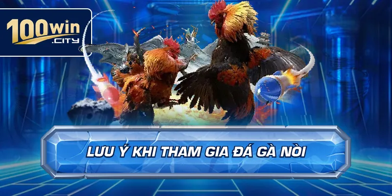 Lưu ý khi tham gia đá gà nòi
