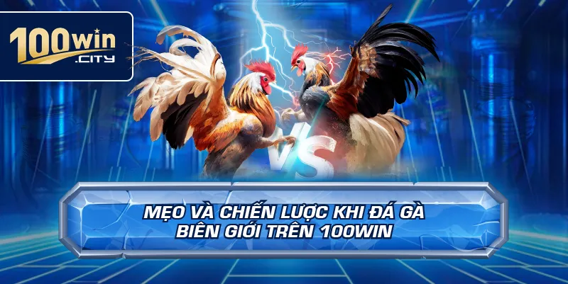 Mẹo và chiến lược khi đá gà biên giới trên 100win