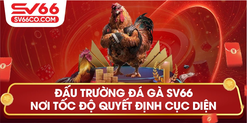 Đấu trường đá gà SV66 – Nơi tốc độ quyết định cục diện