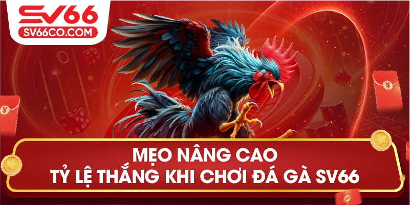 Mẹo nâng cao tỷ lệ thắng khi chơi đá gà SV66